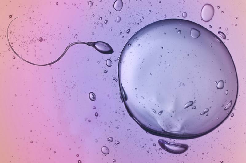 Clinica de reproducción asistida en Zaragoza - Inducción a la ovulación