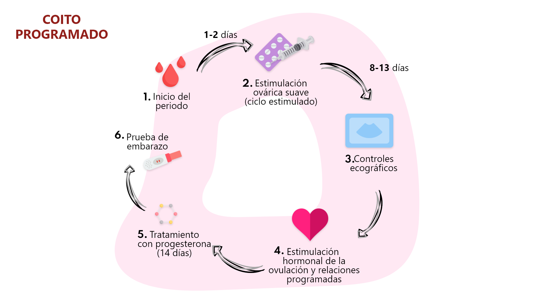 Cuanto Tiempo Dura El Coito Humano