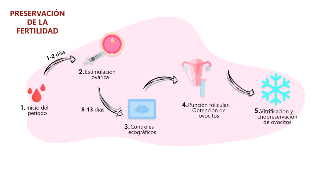 infografía preservación de la fertilidad