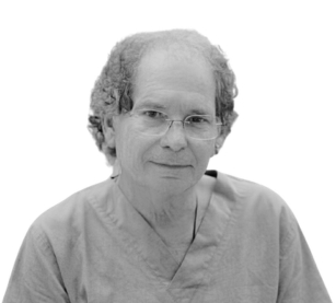 doctor fernando aisa allue